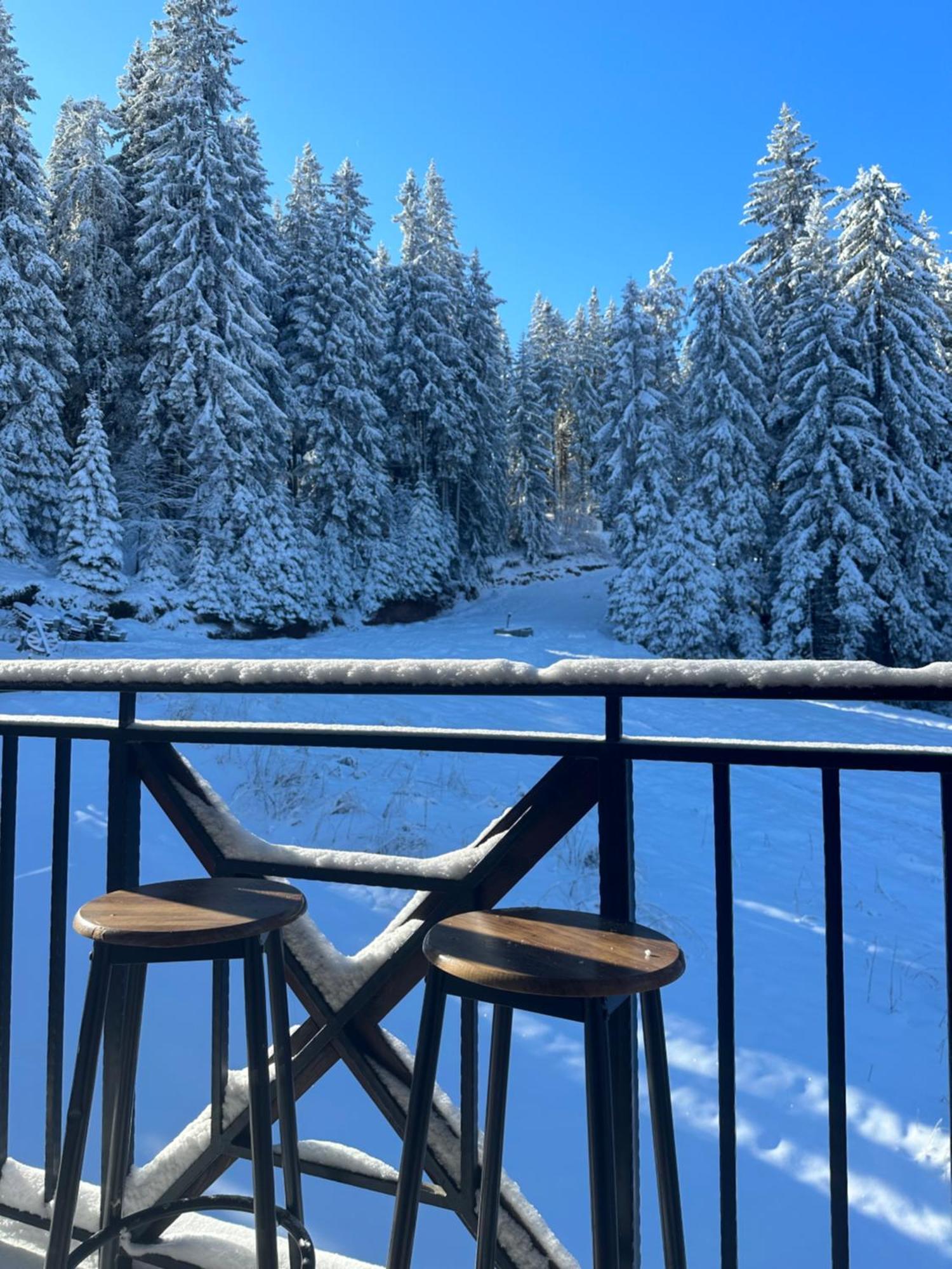 Castle Romance - Pamporovo Luaran gambar
